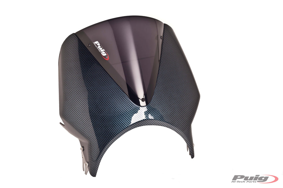 KAWASAKI W 230 [2025] – Visiera per parabrezza Vision – Colorata