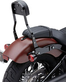 Harley-Davidson Street Bob [COBRA] – Kit de dossier amovible-1