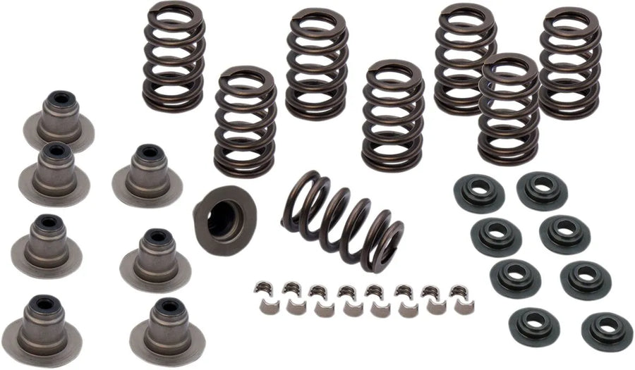 Harley-Davidson FLRT 1868 Freewheeler 114 [2025] - 0,605" Schwerlast-Ventilfederkit – Bild 1