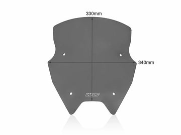 BMW R 1200 R [WRS] – Windschild Detailansicht
