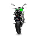 Kawasaki Z 900 [Leovince] - LV Corsa s Titan silencer-4