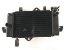 Yamaha YZF 125 RE06 [2011] - Radiator Water Cooler-3