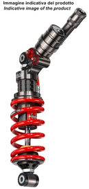 Indian Ftr 1200 [BITUBO] - Racing XXF31 Stoßdämpfer hinten