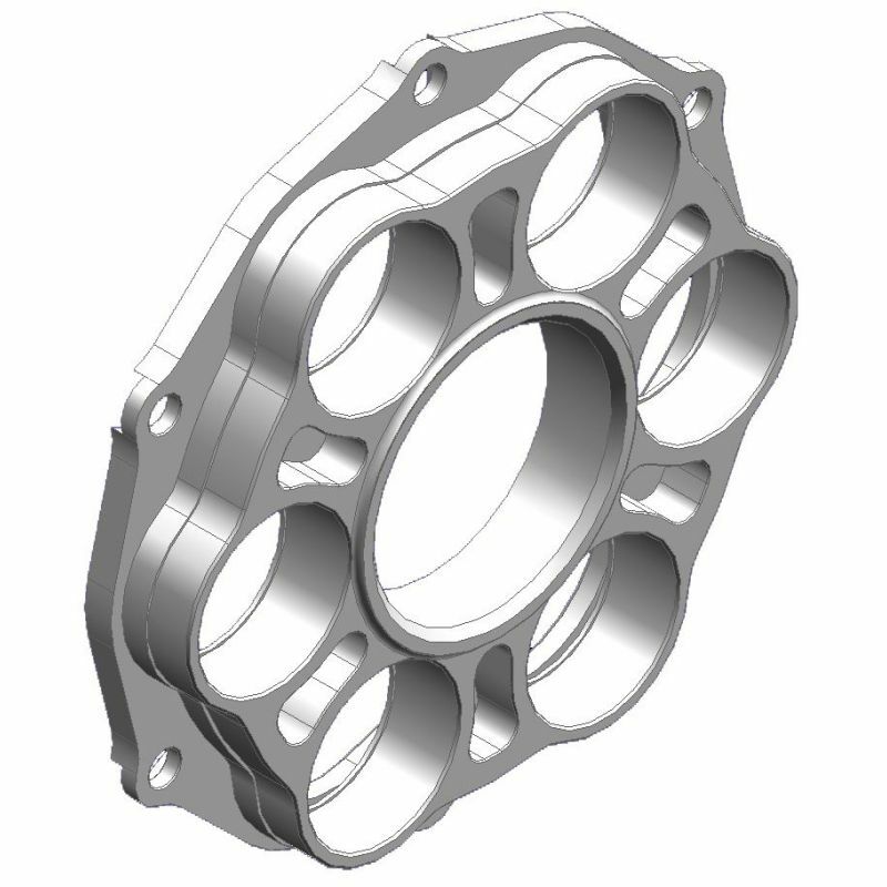 Ducati Panigale 1199 [AFAM] - coperchio pignone - tipo 51804/51803