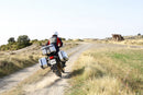 Honda No. 750 [SHAD] - TR47 Terra Right Side Case-10