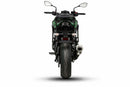 Kawasaki Z Electric [SHAD] - Top Master Montagesatz - Kawasaki