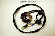 SUZUKI RM 250 [1994-1995] - Stator - Suzuki RM125/250