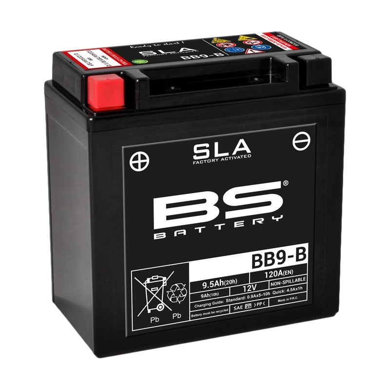 Cagiva Mito 125 8p [BS Battery] - motorcycle battery