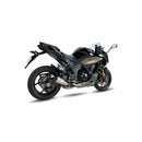 Kawasaki Ninja 1000 [IXIL] - Silencieux RC inox / embout carbone - CK7294RC
