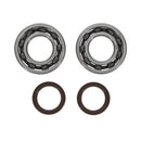 Ktm Sx 250 [PROX] - Kit cuscinetto albero motore e paraolio