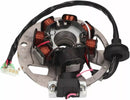 Yamaha DT 125 [NARAKU] – Lichtmaschinen-Stator für Minarelli Horizontal und Vertikal-1