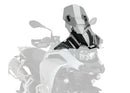 CFMOTO 450 SR [2025] – Z-Racing Scheibe – Schwarz-2