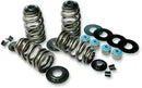 Buell S 1 Lightning [1997, 1999] - Endurance Beehive® valve springs with titanium spring plates - picture 5