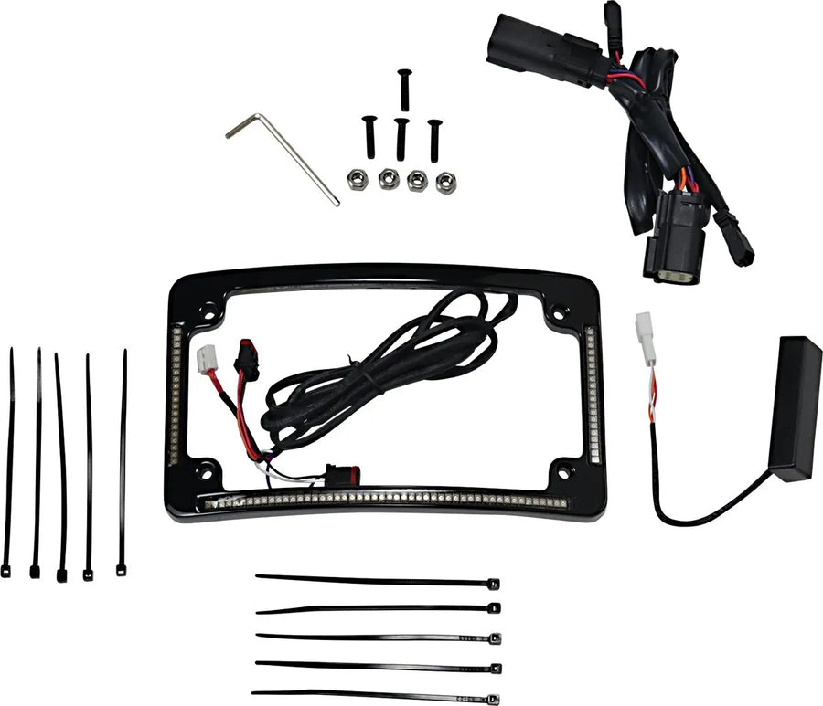 harley davidson fltruse [CUSTOM DYNAMICS] – LED Radius Kennzeichenrahmen