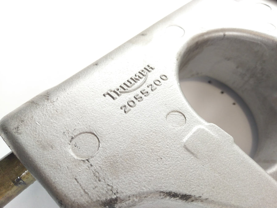 Triumph Speed ​​Triple 955i T595N [2002] - Swinging with Axis Complete