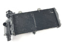 BMW F 650 CS Scarver [2001] - Radiateur d'eau-1
