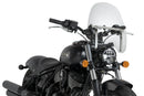 INDIAN CHIEF DARK HORSE [2021] – Daytona IV – Trasparente-2