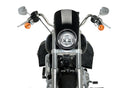 HARLEY DAVIDSON SOFTAIL LOW RIDER FXLR [2020] – Anarchie – Noir-7