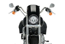 HARLEY DAVIDSON SOFTAIL LOW RIDER FXLR [2020] – Anarchie – Noir-5