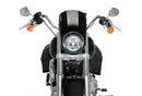 HARLEY DAVIDSON SOFTAIL LOW RIDER FXLR [2020] – Anarchie – Noir-3