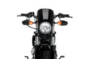 HARLEY DAVIDSON SPORTSTER FORTY-EIGHT XL 1200 X [2020] – Anarchy – Schwarz-5