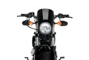 HARLEY DAVIDSON SPORTSTER FORTY-EIGHT XL 1200 X [2020] – Anarchy – Schwarz-3
