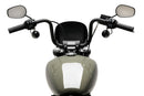 HARLEY DAVIDSON SOFTAIL STREET BOB FXBB [2019] – Anarchy – Schwarz-5