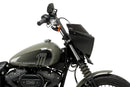 HARLEY DAVIDSON SOFTAIL STREET BOB FXBB [2019] – Mirage – Molto colorato-35