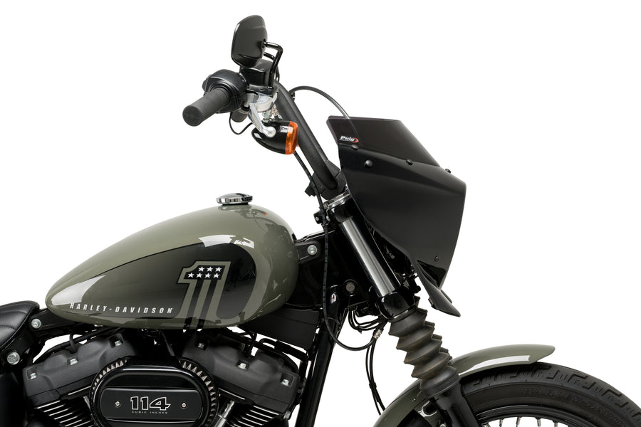 HARLEY DAVIDSON SOFTAIL STREET BOB FXBB [2019] – Mirage – Molto colorato