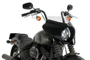 HARLEY DAVIDSON SOFTAIL STREET BOB FXBB [2019] – Mirage – Colorato-43