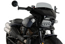 HARLEY DAVIDSON SPORTSTER S RH 1250 S [2024] – Fury – Stark getönt-7