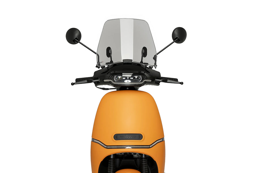 HORWIN EK1 [2025] - Disco per scooter Trafic | Colorato | PUIG22087H