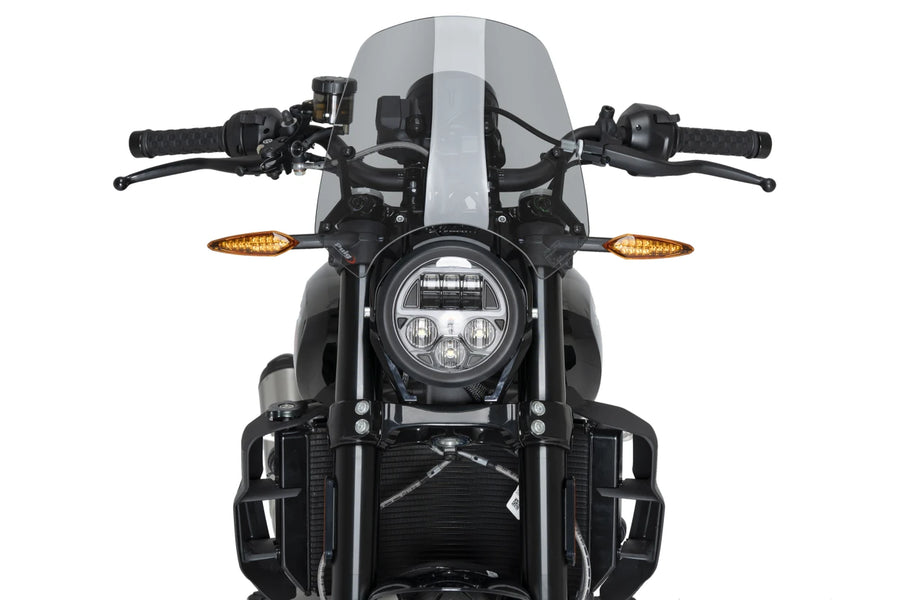 INDIAN FTR 1200 SPORT [2025] – Sport di nuova generazione – Trasparente
