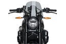INDIAN FTR 1200 SPORT [2025] – New Generation Sport – Tinted-1