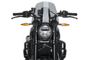 INDIAN FTR 1200 SPORT [2025] – New Generation Sport – Tinted-3