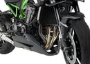 KAWASAKI Z 900 SE [2025] – Sturzpads PRO 2.0 – Schwarz-1