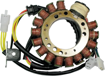 Suzuki DR 650 [RICK'S MOTORSPORT ELECTRIC] – Statore