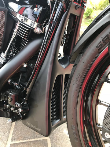 Harley Davidson FLHRXS [CULT WERK] – Spoiler personalizzato - 0