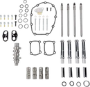Harley-Davidson FLHCS 1923 Softail Heritage Classic Solo 117 [2026] - Piastra camma OE+ per Milwaukee Eight - foto 12