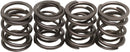 harley davidson flfb [KIBBLEWHITE] – Ventilfedersatz-1