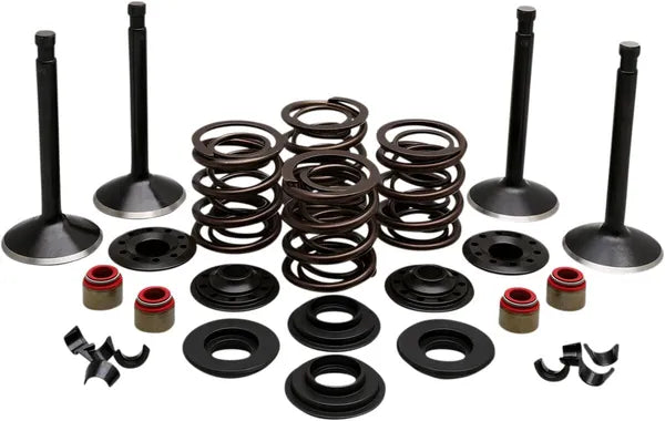 Harley Davidson FX Shovel [KIBBLEWHITE] – Motorventil-Kit