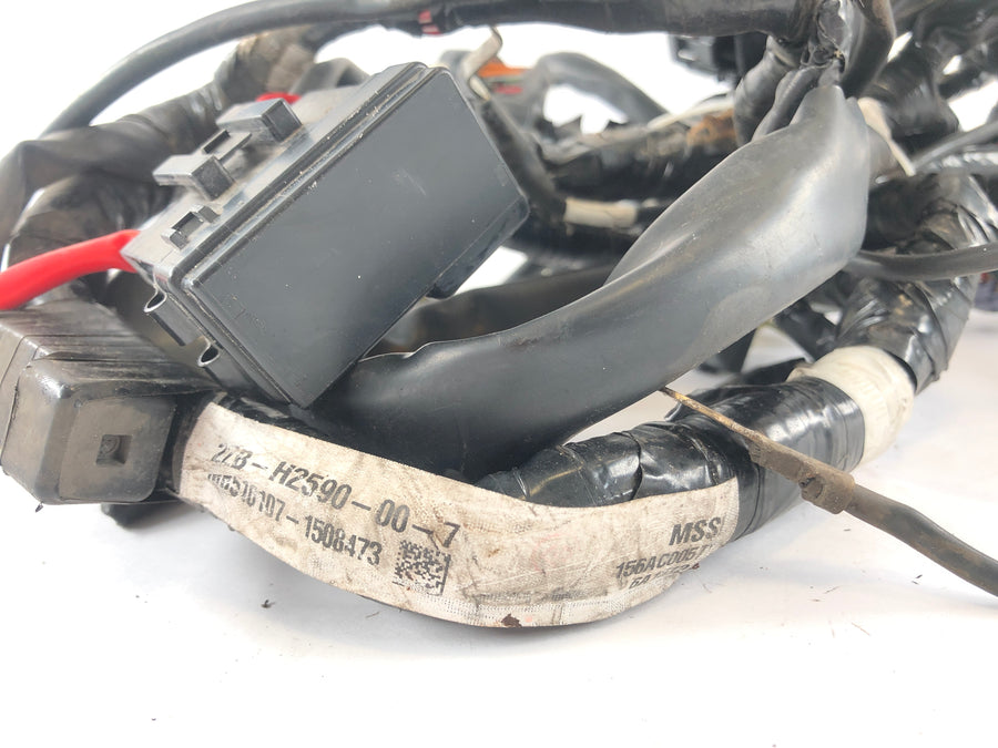 Yamaha WR 125 R DE07 [2016] - Wiring harness