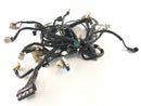 Yamaha XT 660 DM01 [2005] - wiring harness-1