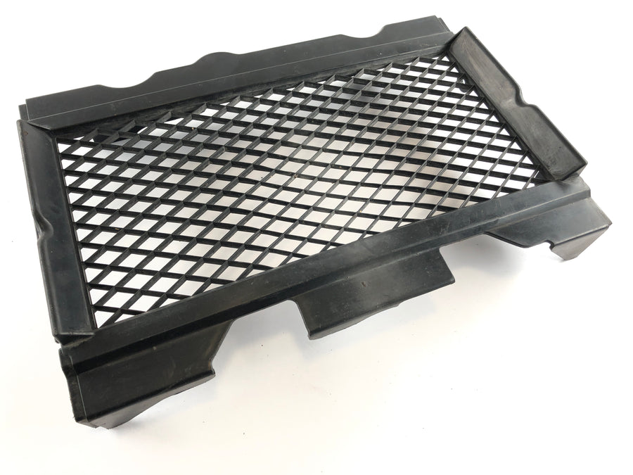 Honda NS 400 R NC19 [1985] - Grille di raffreddamento