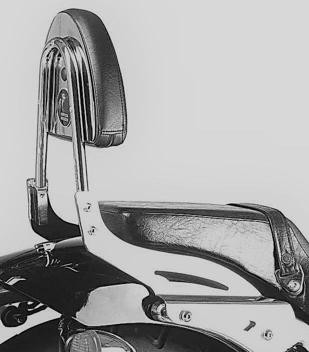 Honda VT 750 d2 Black Wido [2001-2003] - Sissybar senza ponte per bagagli