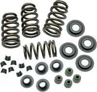 Harley-Davidson Xl 1200 Cx [2020] - Endurance Beehive® valve springs with titanium spring plates - picture 12