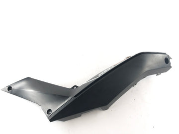 KTM Duke 125 [2011] - rivestimento posteriore sinistro - 0