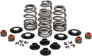 Buell S 3 Thunderbolt [1996] - Kit de ressorts de soupape Econo Beehive® - photo 8