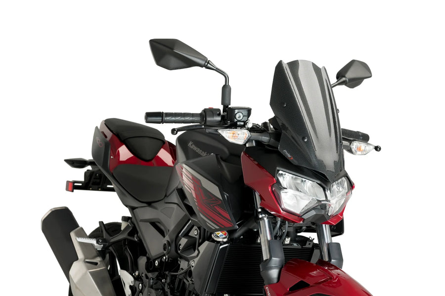 KAWASAKI Z 400 [2024] – New Generation Sport – Getönt