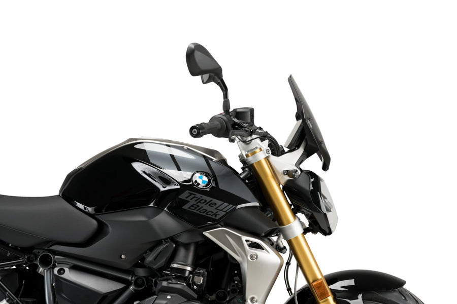 BMW R 1250 R [2025] – Sport di nuova generazione – Trasparente
